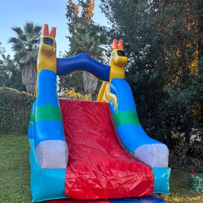 מגלשה מתנפחת - אייל
