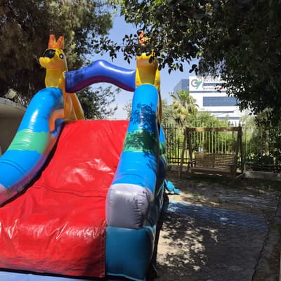 מגלשה מתנפחת - אייל